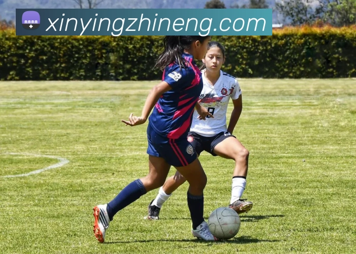 米兰app登录官网发展历程